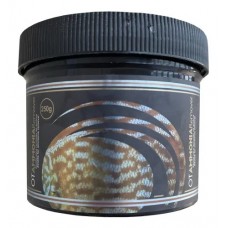 Ot ammonia remover 250g  -  ocean tech