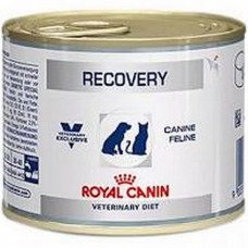 Royal canin recovery canine e feline 195g