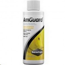 Amguard 100ml  -  seachem