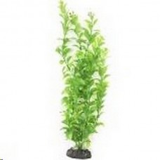 Planta soma economy 40cm